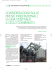 Leggi il documento