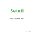MonetaWeb 2.0 - Setefi S P A