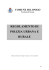 Scarica il file in formato PDF