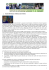 pof nuovo 20132014