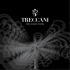 Treccani