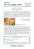 foaa newsletter
