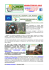 newsletter 52-2015