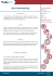 SEO e Web Marketing