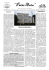Scarica il documento allegato