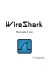 WireShark Manual