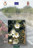 La Flora vascolare del “Bosco Isola” di Lesina