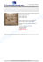 6 CUSCINO SEDIA CUCINA IMBOTTITURA tirolese country shabby