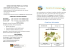 Cartellino informa Cartellino informativo Cartellino informativo