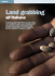 Land grabbing