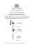 Apri il file in versione PDF