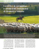 Maremma Magazine Ottobre 2008 One.qxd