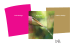 Interior Design Color Design Feng Shui