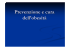 Prevenzione e cura dell`obesità
