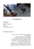 Curriculum Bboy Mizio (Scarica il PDF)