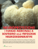 approfondimento 18 - Erboristeria Arcobaleno