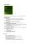 Programma di studio Dreamweaver