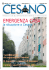 emergenza casa - Comune di Cesano Boscone