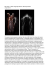Bill Viola o della riappropriazione dell`esperienza Tra poesia e