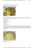 Page 1 of 1 La ricetta. Mafaldelle con pesce spada e fagiolini