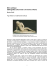 Mors antiqua: bibliografia sulla morte e il morire a Roma