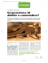 Scarica l`articolo intero
