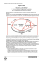 Relazione workshop