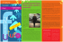 Newsletter n.2