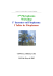 1 Phytoplasma Workshop I° Incontro sul Fitoplasma I - CRA-PAV