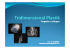 Scarica Brochure - Tridimensional Plastik
