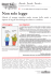 Libertà di stampa significa anche ricerca della