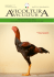 “Avicoltura Avicultura” N. 49 Ottobre-Dicembre
