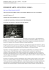Scarica come PDF