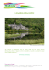 Irlanda dell`Ovest