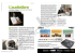 L`audiolibro