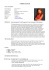 1 CURRICULUM VITAE internazionale di prodotti e
