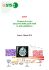 Report attività fino al 2010 - Soft Tissue Sarcoma Committee