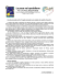 La pace nel quotidiano