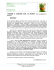 Documento 2