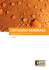 catalogo generale - Italiana Membrane