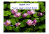 Lezione 7bis File - Server elearning UniCh