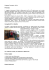 Progetto Formativo - SMILE