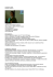 Curriculum vitae