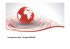 Company profile