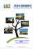 Piano dell`offerta formativa anno scolastico 2015-16