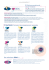 La soluzione Web