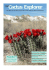 - Cactus Explorers