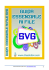 Guida essenziale ai file SVG