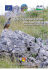 LIFE Coturnice Sicilia – Status e conservazione