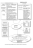 CURRICULUM VITAE Ai sensi della Legge 675/96